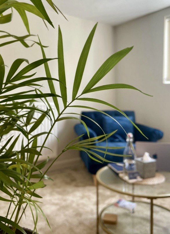 A calm view through greenery into the London therapy room